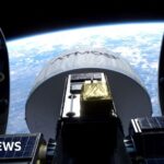 Trial to boldly grow food in space labs blasts off
