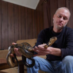 Universal Antivenom May Grow Out of Man Who Let Snakes Bite Him Hundreds of Times