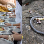 Over 100 students fall sick after eating mid-day meal containing dead snake