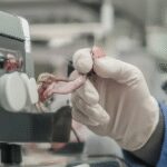 Quality Control Order implementation for electrical appliances deferred to March 2026 following stakeholder talks
