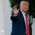 How good is Trump’s deal for America?